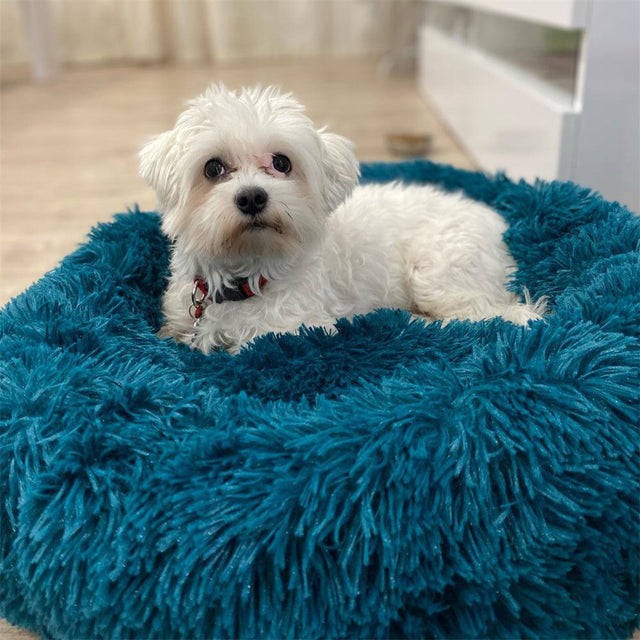 Comfortable Pet Bed Cushion - Item - BAI-DAY 